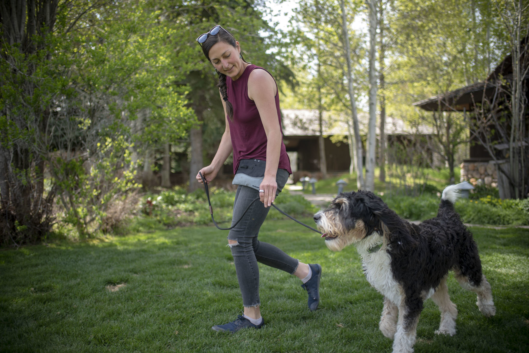 Pet training
